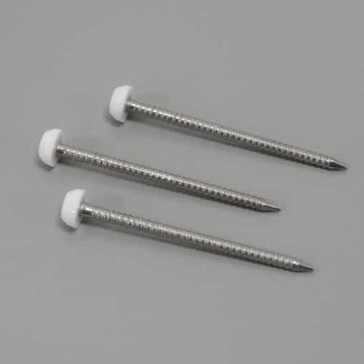 Polymer Headed Ring Shank Pins 40mm White | Cladding Warehouse